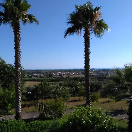Le Palme *
