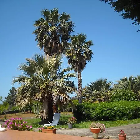 Le Palme