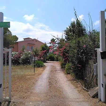 Le Palme