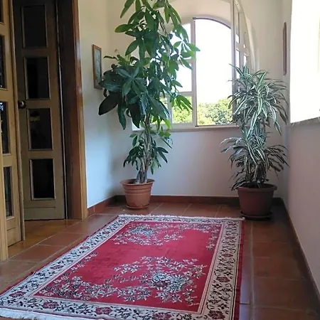 Le Palme Scalea