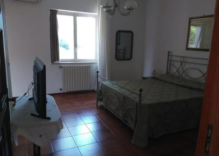 Alojamento de Acomodação e Pequeno-almoço Le Palme Scalea