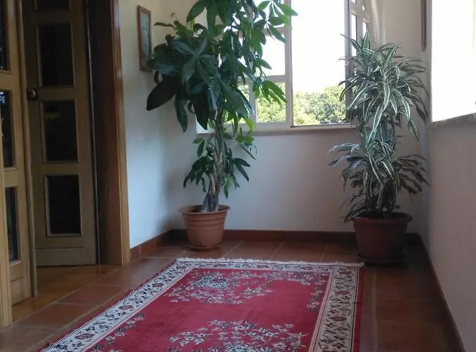 Alojamento de Acomodação e Pequeno-almoço Le Palme Scalea